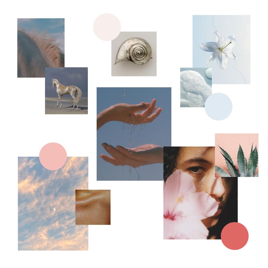 Skin to Sky social collage