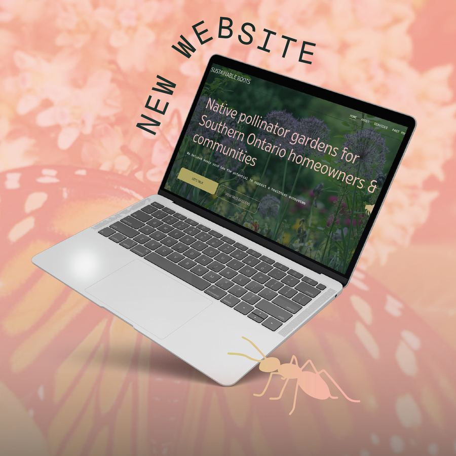 Sustainable Roots website launch